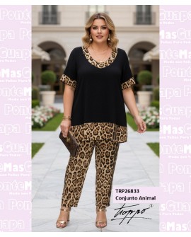 Conjunto Animal