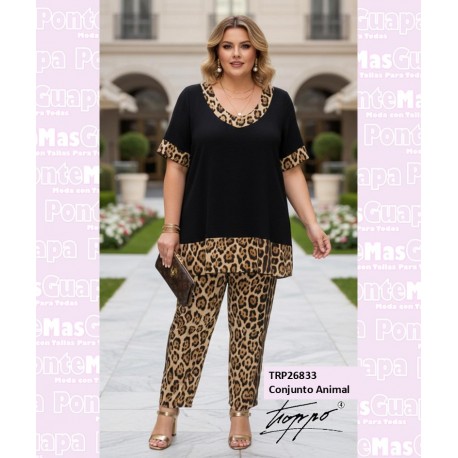 Conjunto Animal
